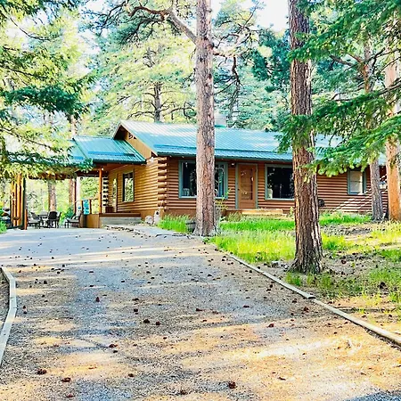 Cozy Cabin On The Creek Colorado City Extérieur photo