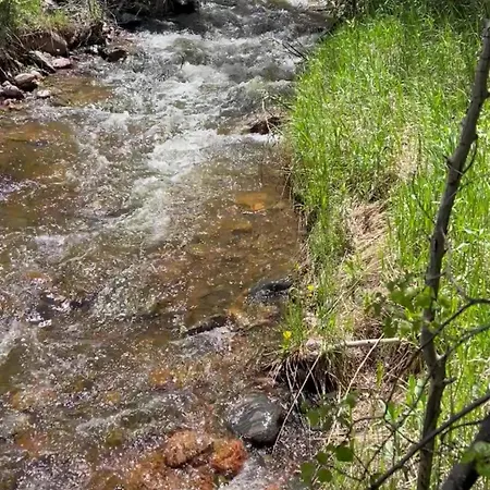 Cozy Cabin On The Creek Colorado City Extérieur photo