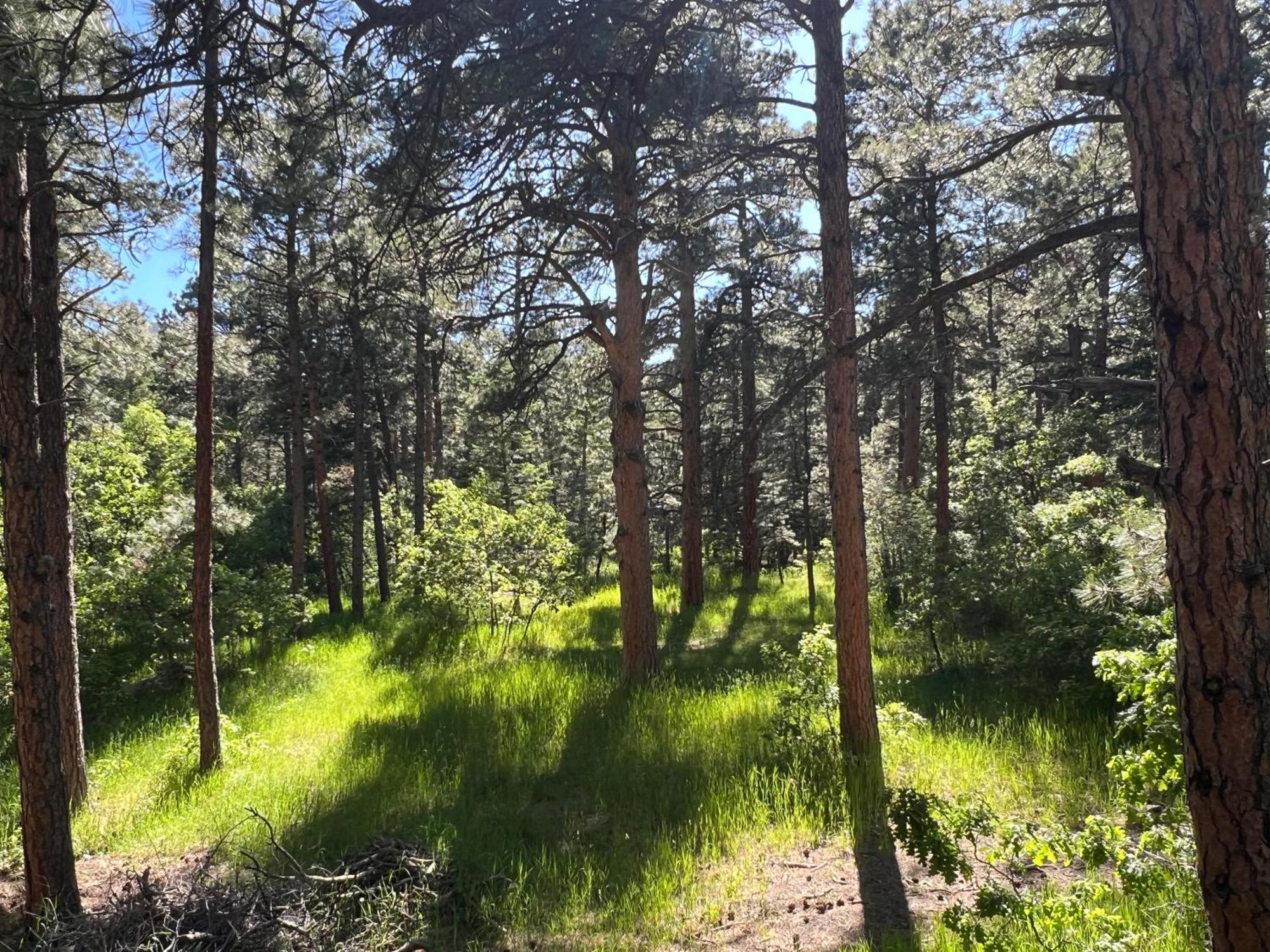 Cozy On The Creek * Colorado City