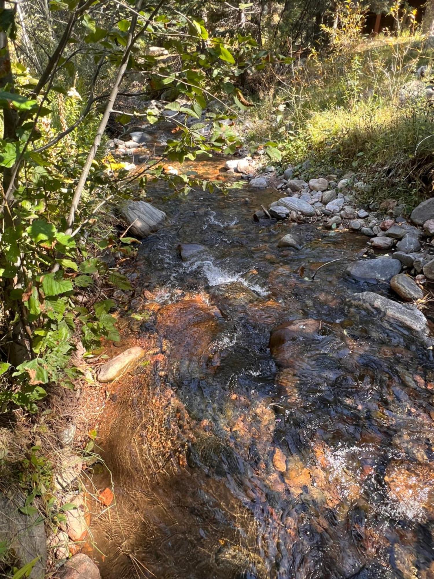 Cozy On The Creek *