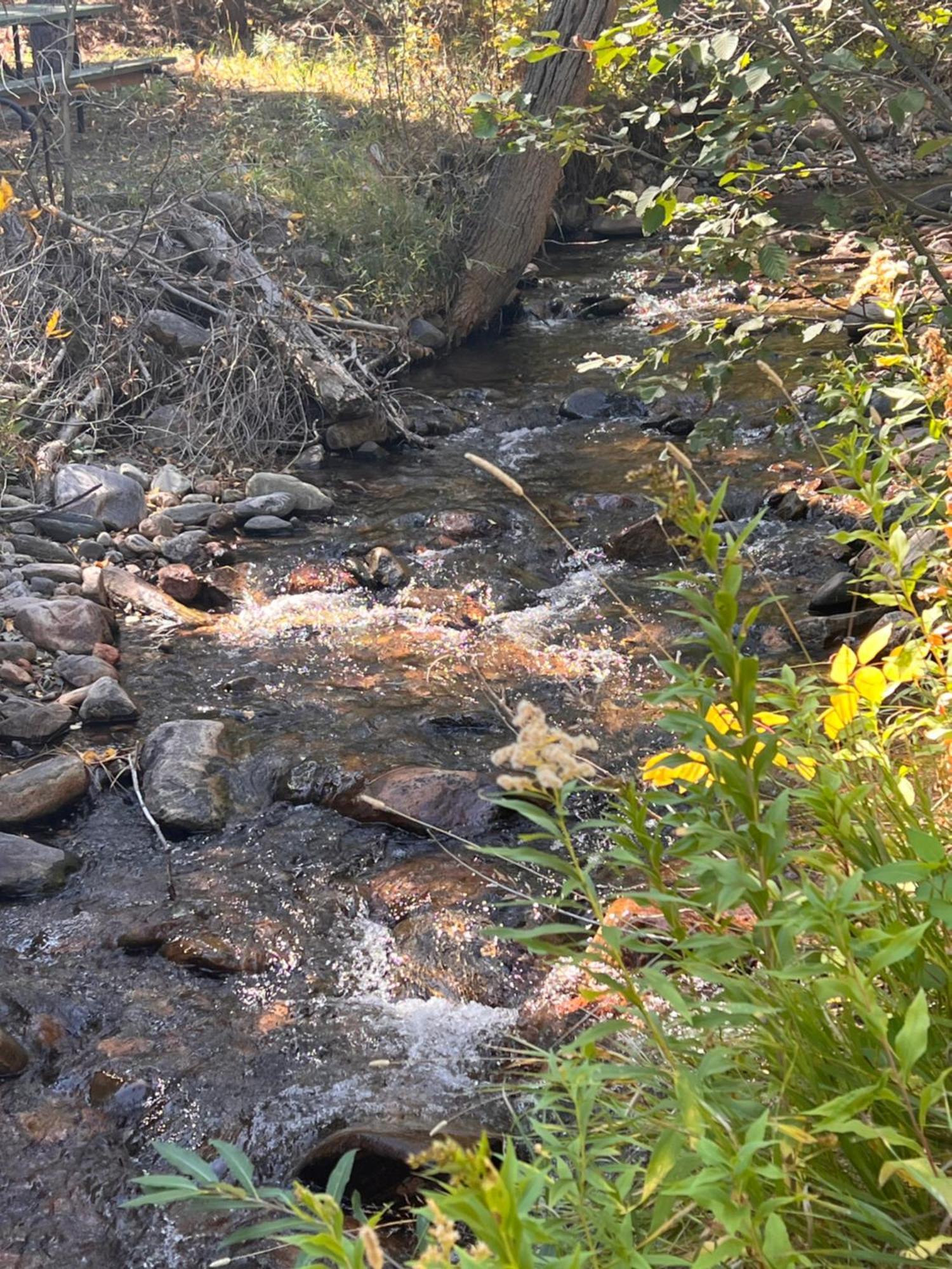 Cozy On The Creek Hébergement de vacances Colorado City